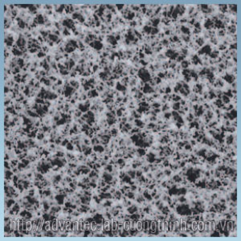 Màng lọc Mixed Cellulose Ester (MCE)