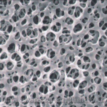 Màng lọc Cellulose Acetate (CA)